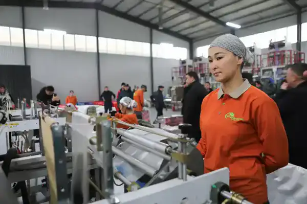 ИТОГИ 2025 ГОДА: В ТУРКЕСТАНСКОЙ ОБЛАСТИ ТРУДОУСТРОЕНО ОКОЛО 148 ТЫСЯЧ ГРАЖДАН (3)