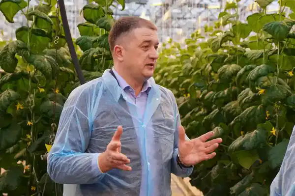 Делегация ВКО ознакомилась с работой крупнейшей теплицы в Барнауле (7)