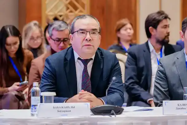 В Астане прошла экспертная встреча по обсуждению проекта новой Конституции (4)