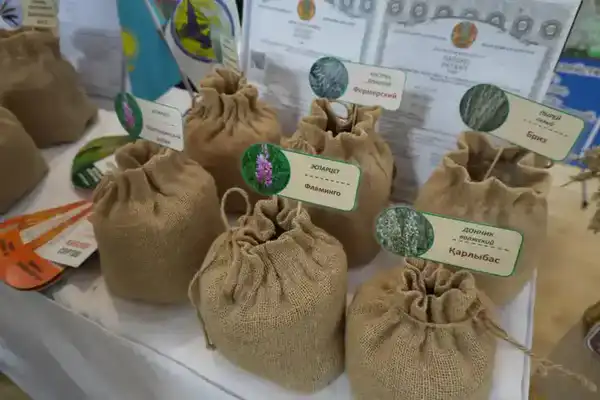 Конференция-выставка «День семян – Тұқым-2026. Атбасар» прошла в Акмолинской области (4)