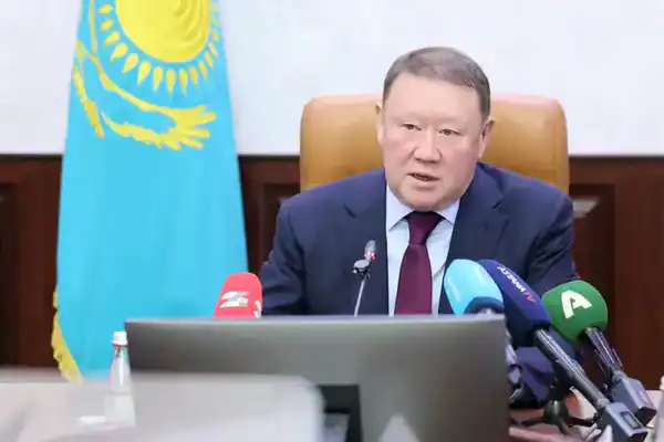 Конституционная реформа — конкретный шаг, определяющий будущий вектор развития Казахстана (4)