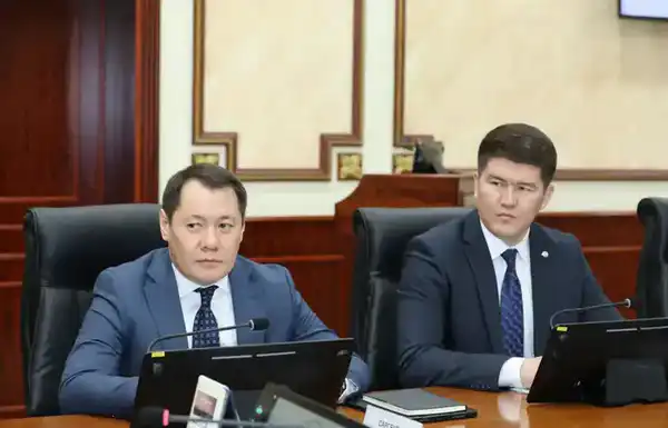 Нурдаулет Килыбай принял председателя правления фонда «Даму» (2)