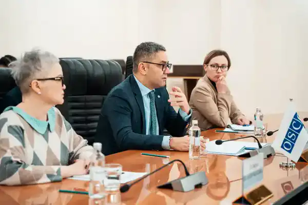 Подготовку к референдуму по новой Конституции обсудили с представителями БДИПЧ ОБСЕ (2)