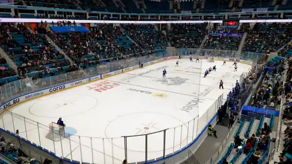 Необычную акцию в поддержку Конституционных реформ провели во время матча столичного хоккейного клуба «Барыс» (6)