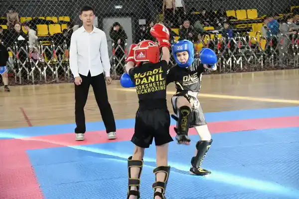 «Астана – город без наркотиков»: турнир по кикбоксингу среди молодежи провели в столице (7)