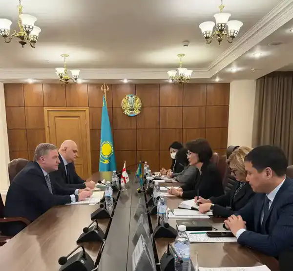 Казахстан и Грузия укрепляют сотрудничество в вопросах здравоохранения (2)
