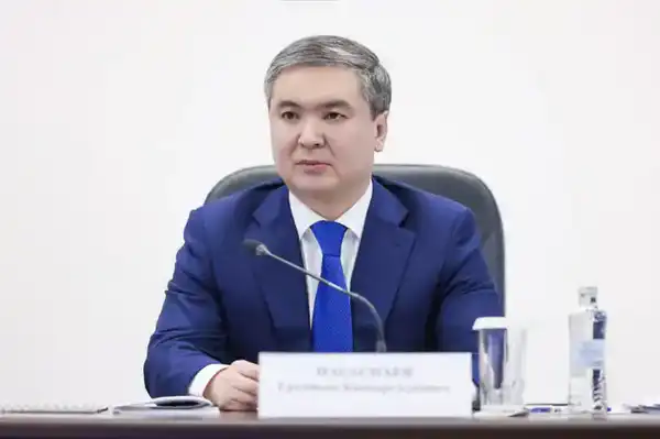 Под председательством Первого заместителя Премьер-министра Романа Скляра прошла Коллегия Министерства промышленности и строительства по итогам 2025 года (2)