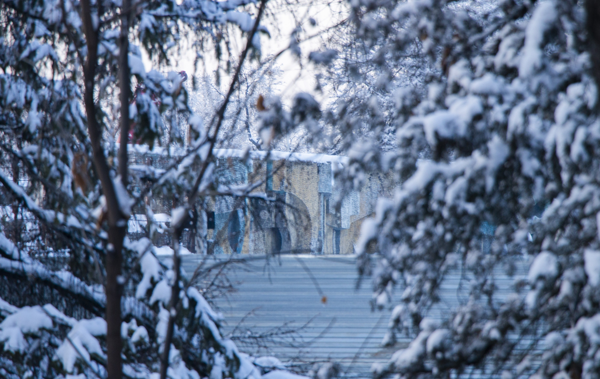 Фото: ©️ Tengrinews.kz / Никита Данилин