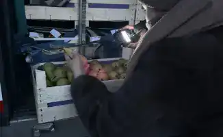 19 тонн груш возвращены в Бельгию из-за отсутствия фитосанитарного сертификата