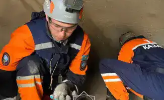 Сотрудники МЧС РК помогли более 400 животным в 2025 году