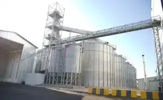 Развитие животноводства в Туркестанской области способствует увеличению экспорта мяса и укреплению экономики региона