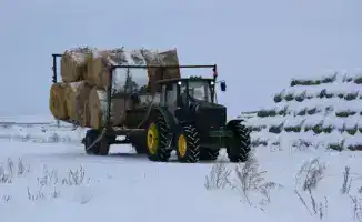 ТОО «Свободное»: ферма как опора для роста животноводства в Сандыктауском районе