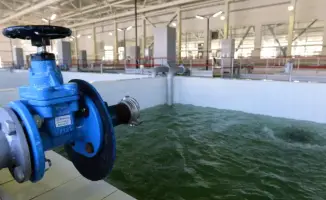 Цифровизация инфраструктуры Алматы: как «умное» ЖКХ изменит жизнь горожан