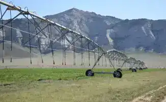 Созакский район преодолел отметку в 1 трлн тенге по объему валового регионального продукта