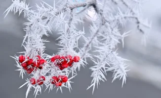 Казахстан в ледяном плену: 37-градусные морозы окутали страну, синоптики предсказывают суровые дни 21-23 февраля