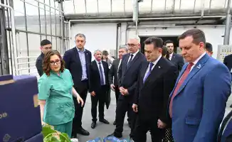 Делегация ВКО изучает опыт тепличного производства в Барнауле для повышения пищевой безопасности