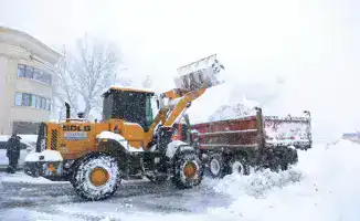 Очистка улиц Тараза от снега Ербол Карашукеев инспектирует работу