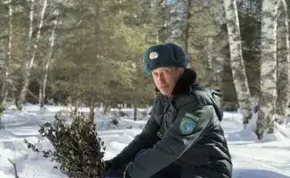 Международные усилия по поддержке дикой природы зимой в Катон-Карагайском национальном парке