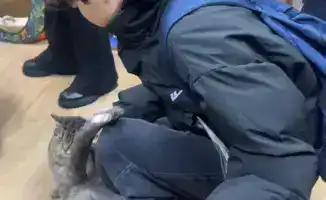 Сердца школьников согрели хвостатых друзей: благотворительная акция в Астане