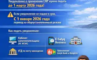 Выбор налогов: специальный режим или общеустановленный?