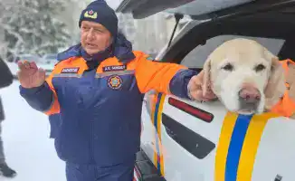 Пожарная форма и собаки: уроки безопасности для детей!