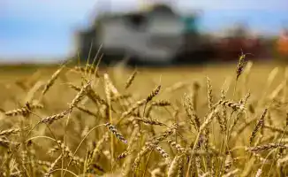 Социальные изменения в Казахстане: развитие агропромышленного комплекса через проекты глубокой переработки