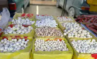 Сельхозпродукция по цене ниже рынка: ярмарка в Туркестане!