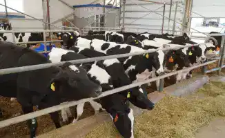 Сельское хозяйство области достигло рекордов: 1,2 трлн тенге валовой продукции и 7,6 млн тонн урожая зерна в 2025 году