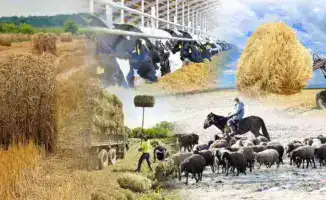 Количество сельхозкооперативов в Казахстане достигло 4 465 благодаря государственной поддержке