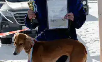 Тазы в Бухар-Жырау: скорость под контролем!