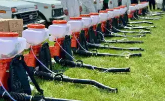 ТУРКЕСТАН: МЕРЫ ПРОТИВ САРАНЧИ В ЭТОМ ГОДУ