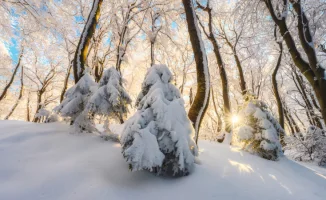 Арктический холод до -40 градусов ожидается в Казахстане: синоптики Казгидромета представили прогноз на 24-26 февраля