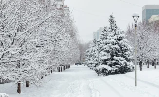 Синоптики Казгидромета прогнозируют резкое похолодание в Астане до -31°C и снегопады в Алматы на ближайшие три дня — 25, 26 и 27 февраля.