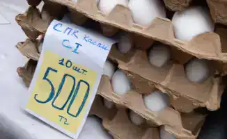 Актау: ярмарка с продажей картофеля из фонда