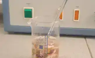 Разработка технологии сохранения шкур крупного рогатого скота может снизить экологическую нагрузку и улучшить качество кожевенной продукции