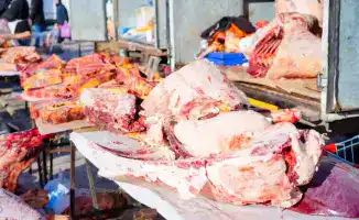 Сельскохозяйственная симфония: фермеры Астаны играют на струнах свежести