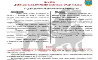 В Астане владельцы домашних животных подвергнуты строгому контролю: последствия за нарушение правил выгула собак