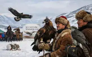 В ВКО: Птицы и люди в танце охоты на чемпионате по құсбегілік