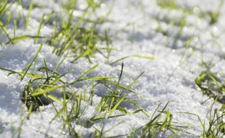 Тепло в сердце зимы: Астана и Алматы встречают февраль с обещанием потепления до +10