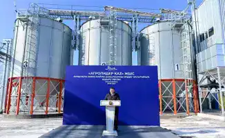 Аким области Берик Уали отметил важность нового завода по переработке бобовых и масличных культур в Абайской области