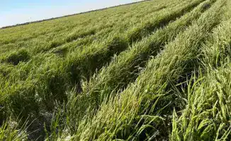 Внедрение водосберегающих технологий для устойчивого сельского хозяйства в Туркестанской области