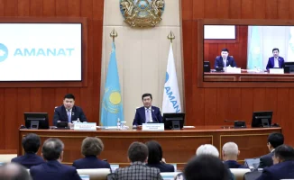 Amanat поддерживает новую Конституцию на заседании в Мажилисе