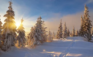 Астана прощается с морозами, Алматы продолжает зимнюю сказку