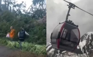 Шымбулак: последствия непогоды, рухнувшее дерево и качающиеся кабинки на горнолыжном курорте