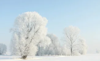 Синоптики Казгидромета предупреждают о резком похолодании в Казахстане после теплых дней с температурой до +17 градусов. Прогноз погоды на 5, 6 и 7 февраля предвещает значительное снижение температуры.