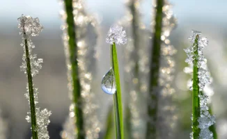 Казахстан устанавливает новые температурные рекорды: аномальное тепло побивает 51-летний максимум