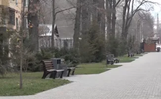 В Алматы создадут гастрономическую прогулочную улицу: новые возможности для любителей кулинарии