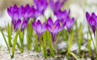 В Казахстан вернется долгожданное тепло: синоптики Казгидромета представили прогноз погоды на 28 февраля, 1 и 2 марта.