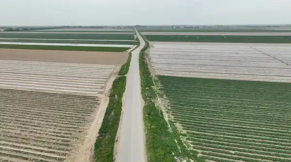 В ТУРКЕСТАНСКОЙ ОБЛАСТИ ЗА ТРИ ГОДА СОЗДАН 201 НОВЫЙ СЕЛЬСКОХОЗЯЙСТВЕННЫЙ КООПЕРАТИВ (7)