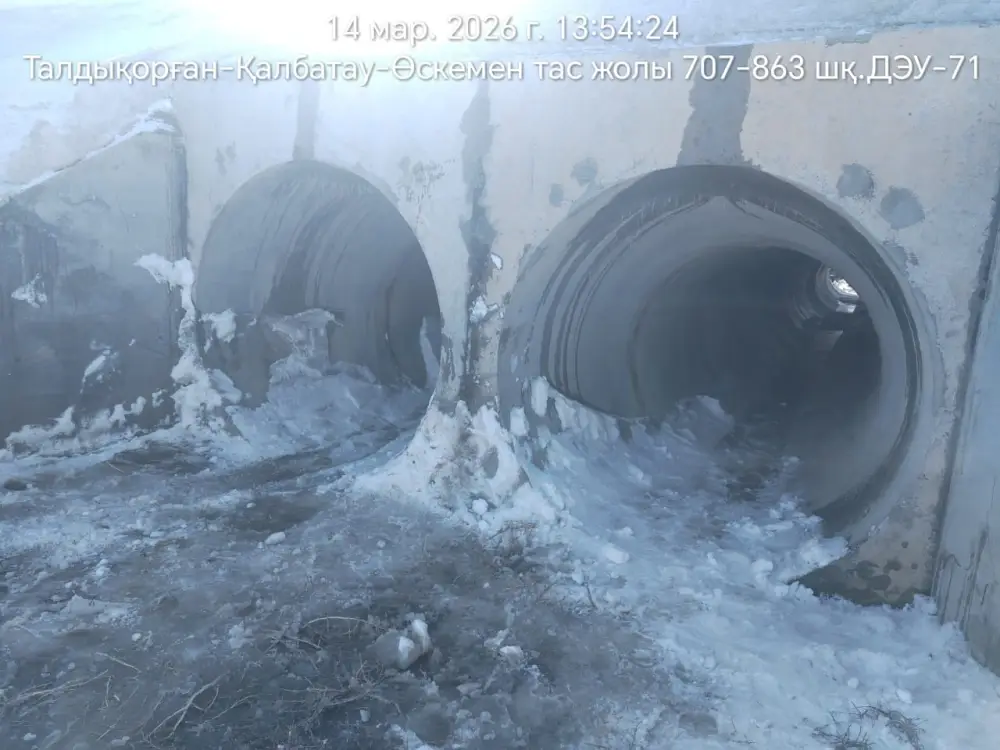 Министр транспорта РК поручил усилить подготовку транспортной инфраструктуры к паводкам (6)